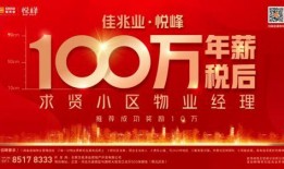 石家庄头条视频爆料,揭秘某重大事件背后真相